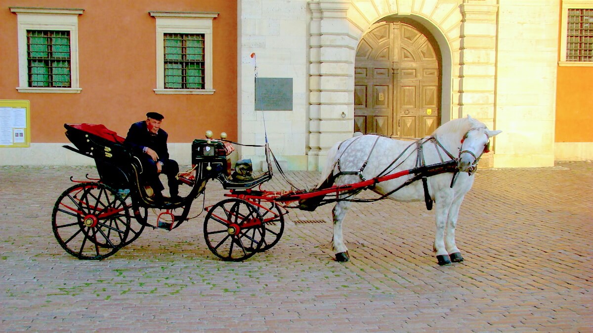 Things to Do in Old Town Warsaw: Take a Horse Carriage at Old Town Market Square (Rynek Starego Miasta Warszawa)